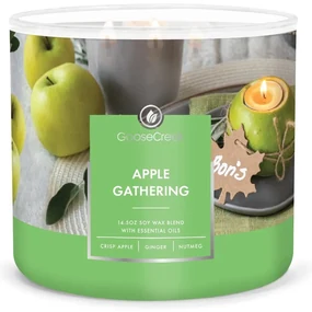Vonná sójová sviečka doba horenia 35 h Apple Gathering – Goose Creek