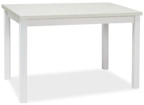Jedálenský stôl ADAM | 100 x 60 cm Farba: biely mat