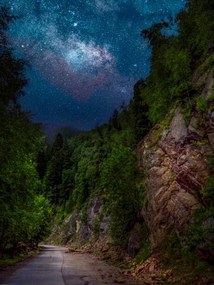 Umelecká fotografie Trees by road against sky at night,Romania, Daniel Ion / 500px, (30 x 40 cm)