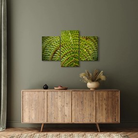Obraz - Papraď (90x60 cm)