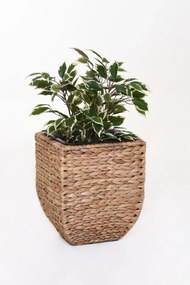 Kvetináč ASIA, vodný hyacint, výška 30 cm, natur