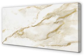 Obraz canvas Marble kamenný múr 100x50 cm