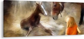 Obraz - Vitaj na svete, žriebätko (120x50 cm)