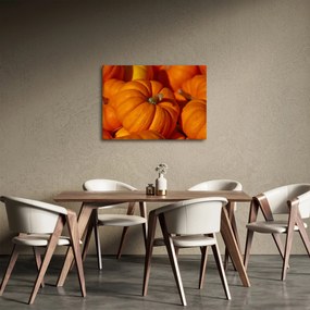 Obraz - Veľké tekvice (70x50 cm)