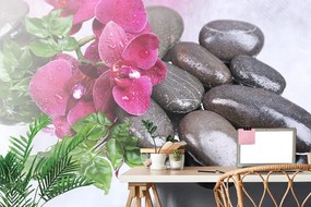 Fototapeta lávové kamene s orchideou