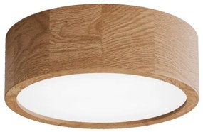 Kúpeľňové stropné svietidlo CLEO 2xE27/24W/230V IP54 pr. 27,5 cm dub