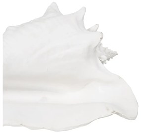 Soška z polyresínu (výška 13 cm) Seashell – Ixia