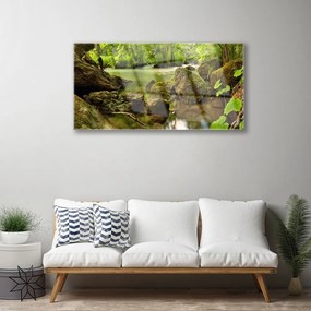 Obraz na skle Skala jazero príroda 100x50 cm