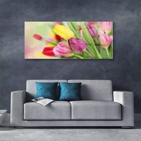 Obraz na akrylátovom skle Tulipány kvety rastlina 125x50 cm