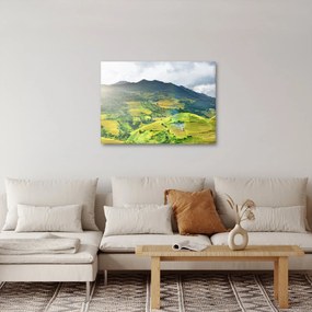 Obraz plantáže (70x50 cm)