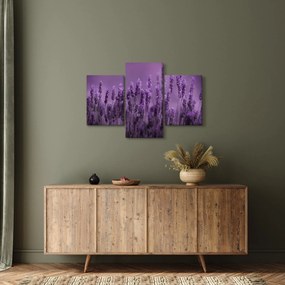 Obraz - Levanduľa (90x60 cm)