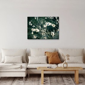 Obraz - Pavučina (70x50 cm)