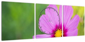 Obraz - lúčna kvetina (s hodinami) (90x30 cm)