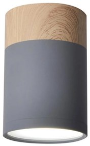 Stropné svietidlo TUBA GU10/15W/230V