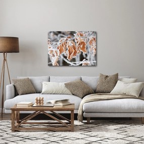 Obraz - Zamrznuté listy (70x50 cm)