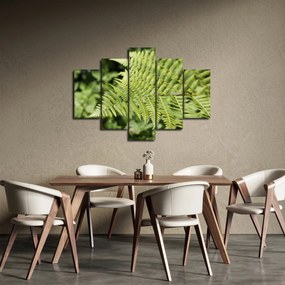 Obraz - Papradinový list (150x105 cm)