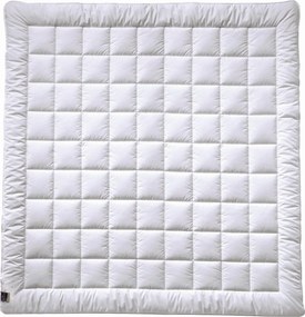 XXXLutz LETNÁ PRIKRÝVKA, 200/200 cm, hodváb Billerbeck - Prikrývky & vankúše - 003279074803