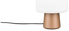 Stolová lampa v bielo-bronzovej farbe so skleneným tienidlom (výška 27 cm) Steen – Trio