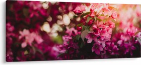 Obraz kvetov rozkvitnutého kríku (120x50 cm)