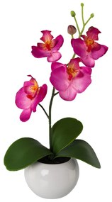 Gasper Umelý kvet Orchidea v keramickom kvetináči, tmavoružová, 21 cm