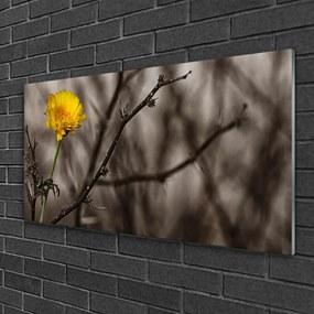 Obraz na skle Vetva kvet 125x50 cm