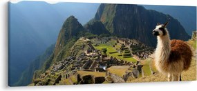 Obrázok - Lama a Machu Picchu (120x50 cm)