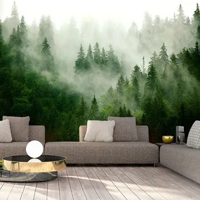Fototapeta - Mountain Forest (Green) Veľkosť: 250x175, Verzia: Premium