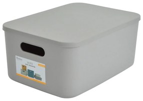 Sivý plastový úložný box s vekom 35,5x25,5x16 cm – Homéa