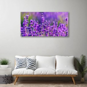 Obraz Canvas Pole fialová levanduľa 140x70 cm