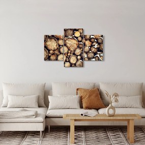 Obraz - Drevo v snehu (90x60 cm)