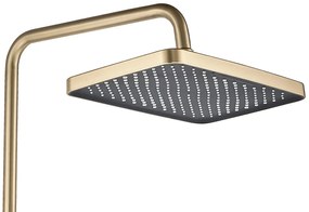 Rea Joe, sprchový set s ručnou a hlavovou sprchou, zlatá matná, REA-P5656