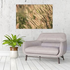 Obraz - Obilie (90x60 cm)