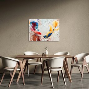 Sklenený obraz - Ryby bojovníčky (70x50 cm)