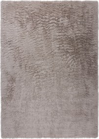 Flair Rugs, Kusový koberec Alpine Faux Fur Soft Grey, 160x230, šedá, obývacia izba