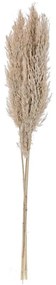 Eglo 428082 - Sušený kvet GUIPOS 85 cm béžová 428082