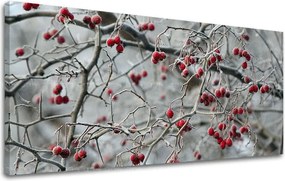 Obraz na stenu PANORÁMA STROMY