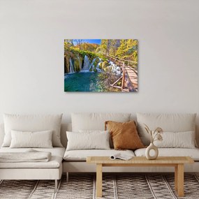 Obraz - Vstup na vodopády (70x50 cm)