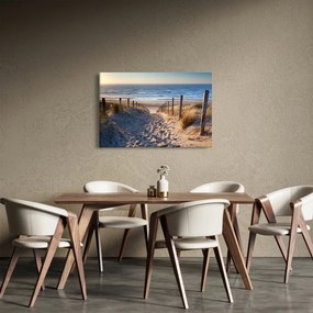 Obraz - Cesta k pláži Severného mora, Holandsko (90x60 cm)