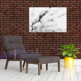Obraz - Začiatok jari (90x60 cm)