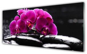 Obraz plexi Kamene zen orchidea kúpele 125x50 cm