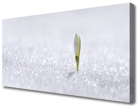 Obraz Canvas Snežienka sneh zima 120x60 cm