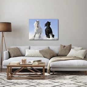 Obraz - Kone v zime (70x50 cm)