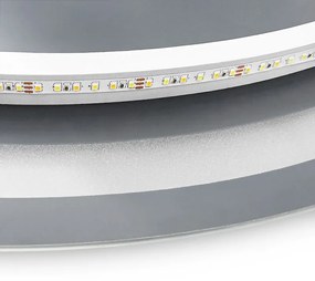 REA Zrkadlo LED 80cm BAS HOM-05520 - Rea