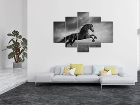 Obraz - Kôň čiernobiely (150x105 cm)