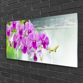 Skleneny obraz Orchidey kvapky príroda 120x60 cm