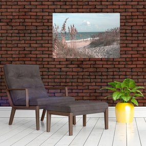 Obraz - Ružová pláž (90x60 cm)