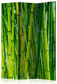 Artgeist Paraván - Bamboo Forest [Room Dividers]