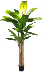 Artificial tree Bananowiec 250cm