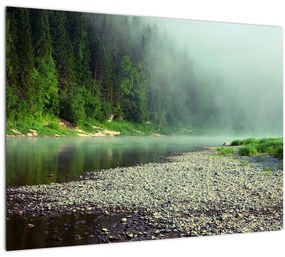 Sklenený obraz - Rieka pri lese (70x50 cm)