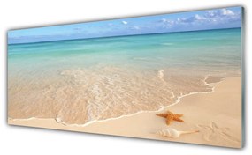 Obraz na akrylátovom skle Pláž hviezdice príroda 125x50 cm